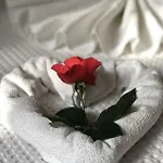 Nehir 2* דליאן